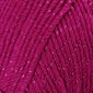 Caron Laine Simply Soft Party "Fuschia Sparkle" #00002 H97PAR