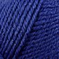 Caron Simply Soft Party Yarn "Royal Sparkle" #00005 H97PAR