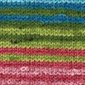 PATONS Laine Kroy Socks "Meadow Stripes" 50 g  no. 55309 (243455)