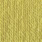 PATONS Decor Yarn "Frond" #87521 (244087)