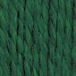 PATONS Laine Shetland Chunky "Emerald" #78701 (241078)