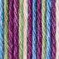 Bernat Handicrafter Yarn "Fruit Punch Ombre" #02319 (162102) 42.5 g