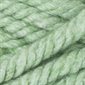 Red Heart GRANDE Yarn "Spearmint" #0623 (E826)