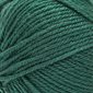 BERNAT fil Fabwoolous – "Pine" no. 25018 (161125)